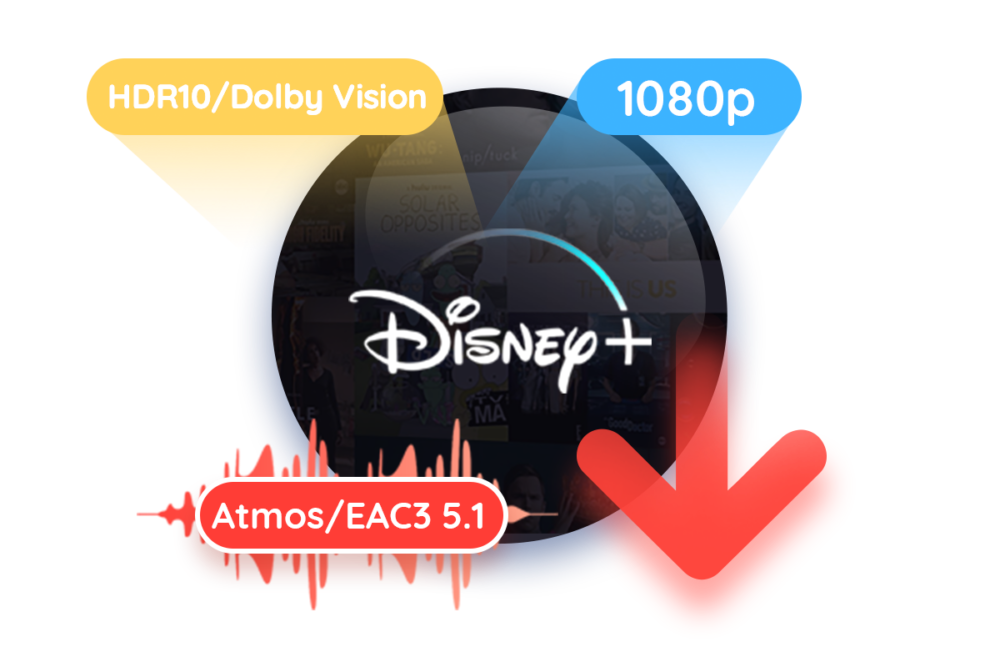 Disney Plus Downloader WIN 2 Year License - Image 2
