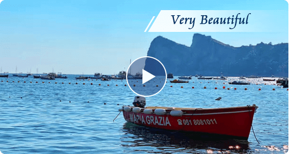 Video Converter Ultimate WIN Lifetime License - Image 4