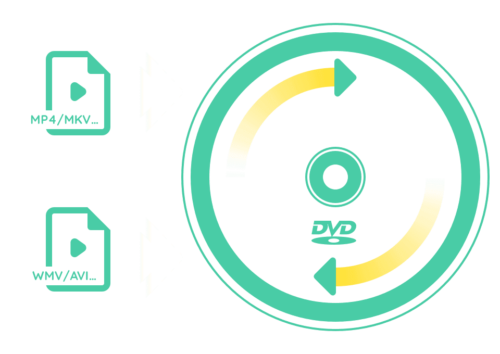 DVD Creator Mac Lifetime License