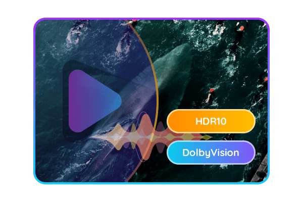 Blu-ray After Editor Win Lifetime License - Image 3