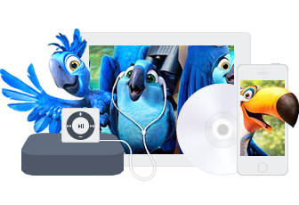 MacX DVD Ripper Pro Mac Jahreslizenz