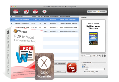 PDF to Word Converter