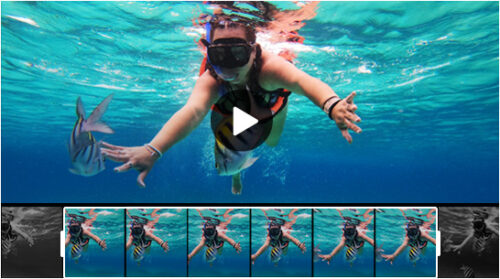 Winxvideo AI WIN Lifetime License