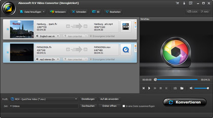 FLV Converter