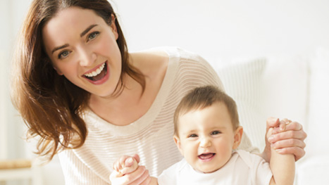 WinX MediaTrans WIN Annual License