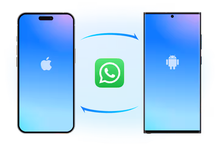 WhatsApp Transfer Win 1 Year License - Image 2